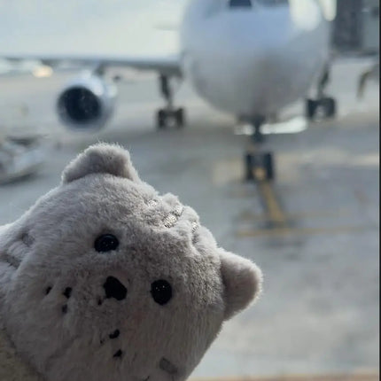 Tabby Kitty Cat Stuffed Animal Plushie, Mini Kitten Cute Soft Plush